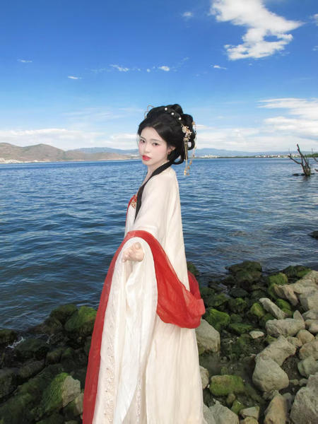 手可摘星辰的主图